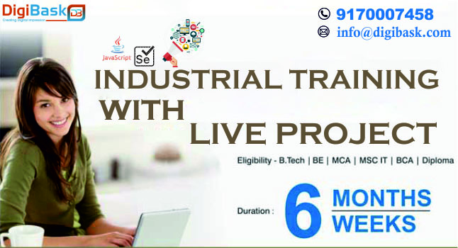 Digibask Industrial Training
